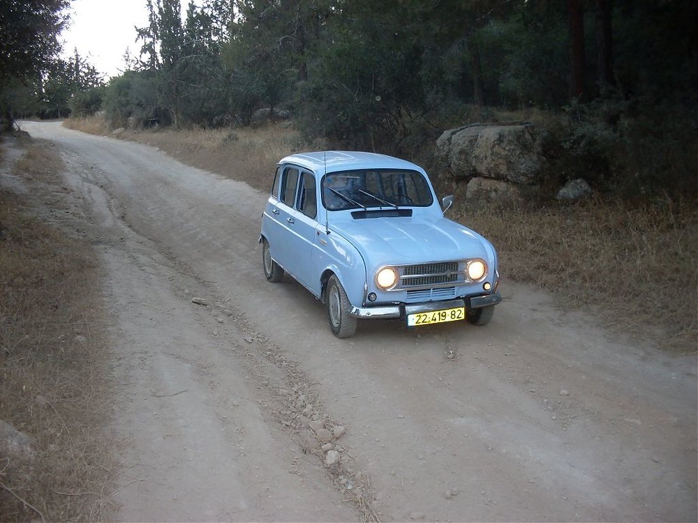 SDC11197.jpg