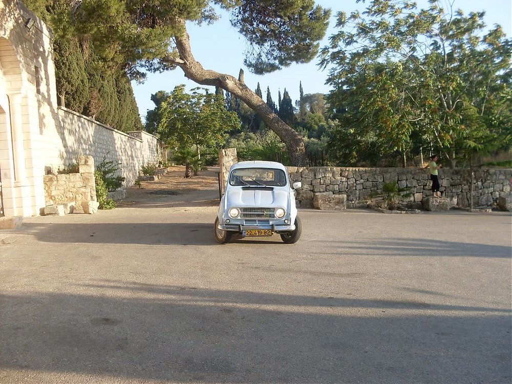 SDC11204.jpg