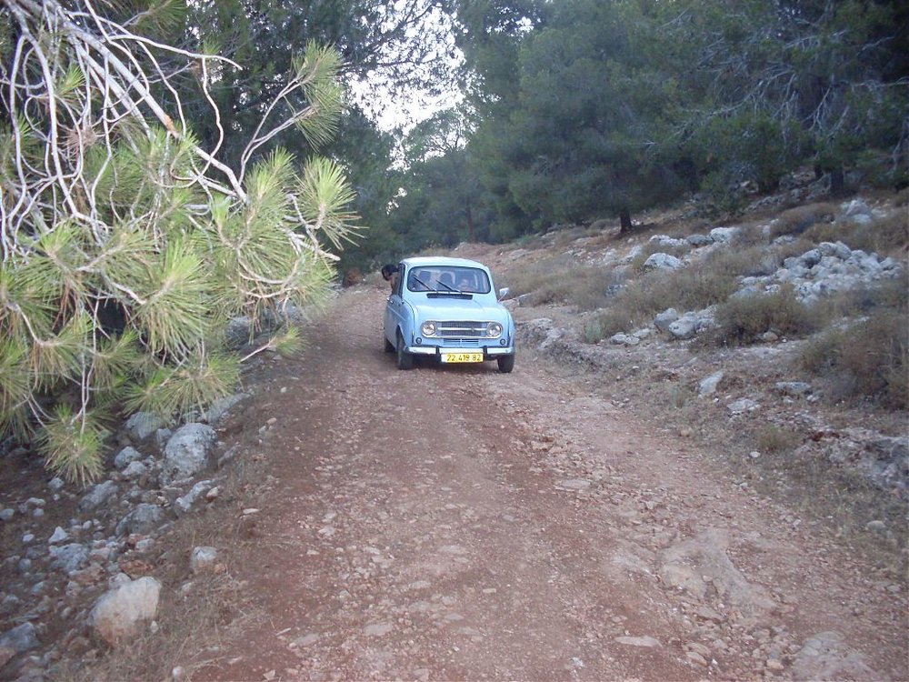 SDC11209.jpg