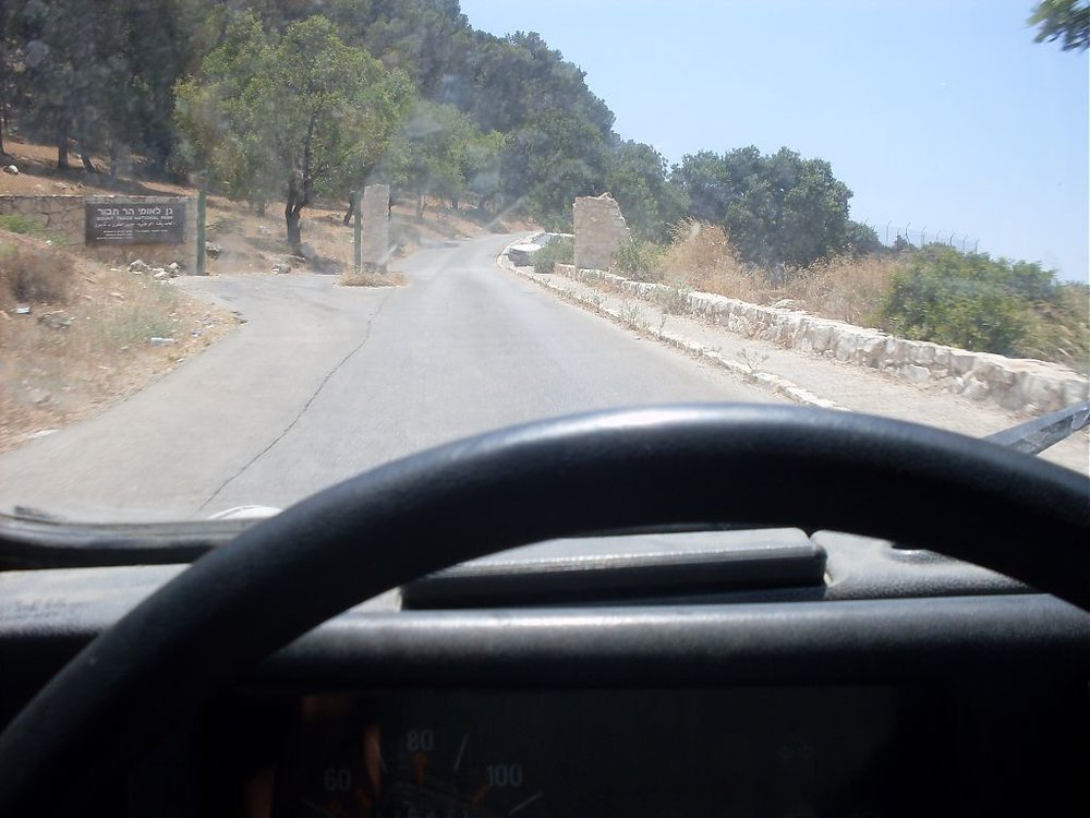 SDC11319.jpg