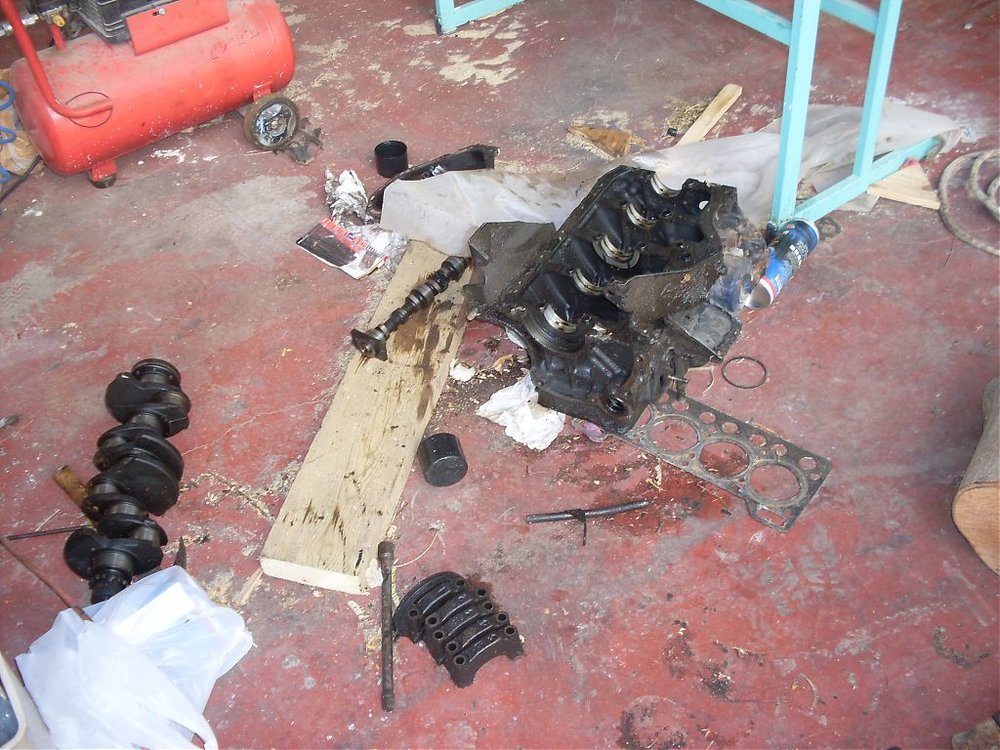 SDC11678.jpg