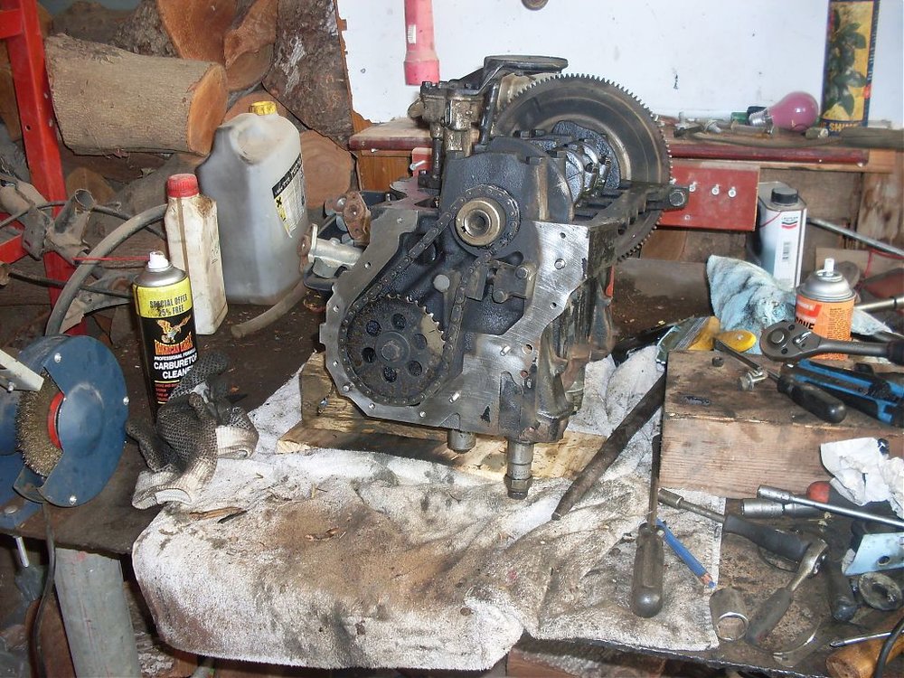 SDC11686.jpg