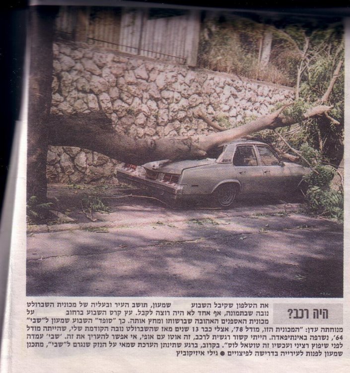 Scan4.JPG