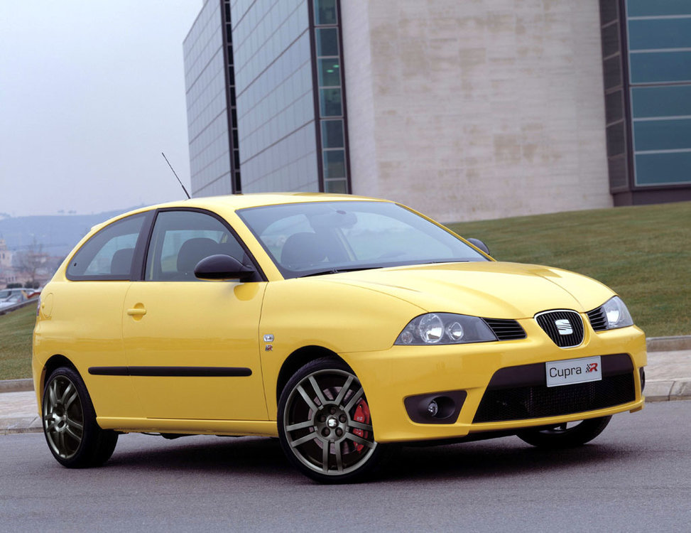 Seat_Ibiza_Cupra_R_537_13.jpg