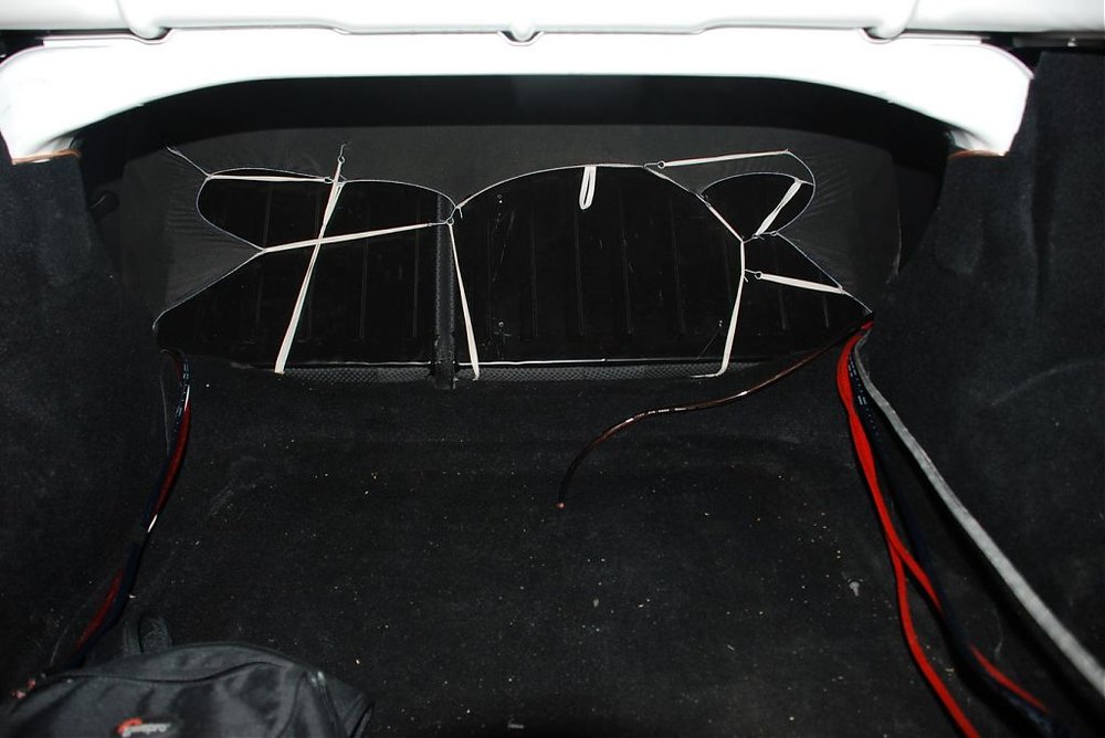 Trunk0_resize.jpg