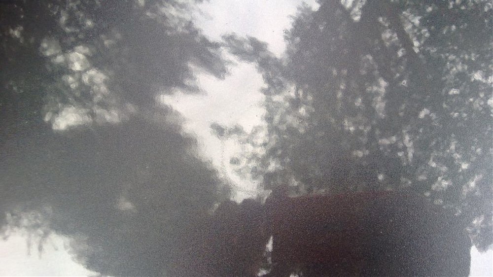 WP_20130225_003.jpg