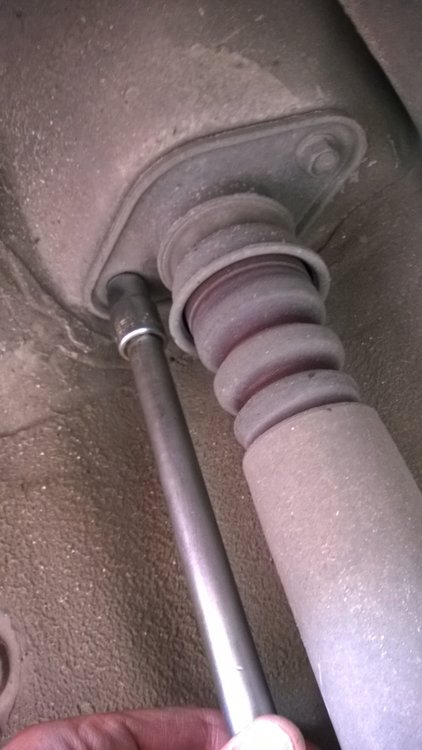 WP_20170423_004.jpg