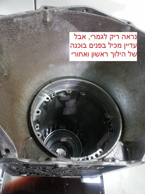 ZZ_07.jpg