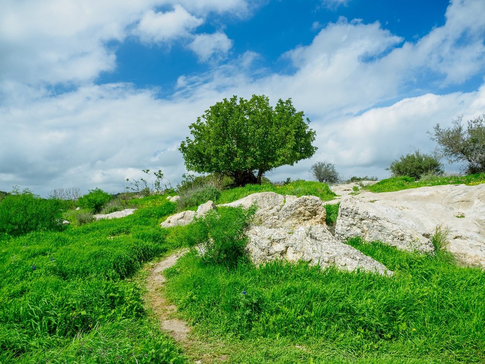 _2290783-HDR.jpg
