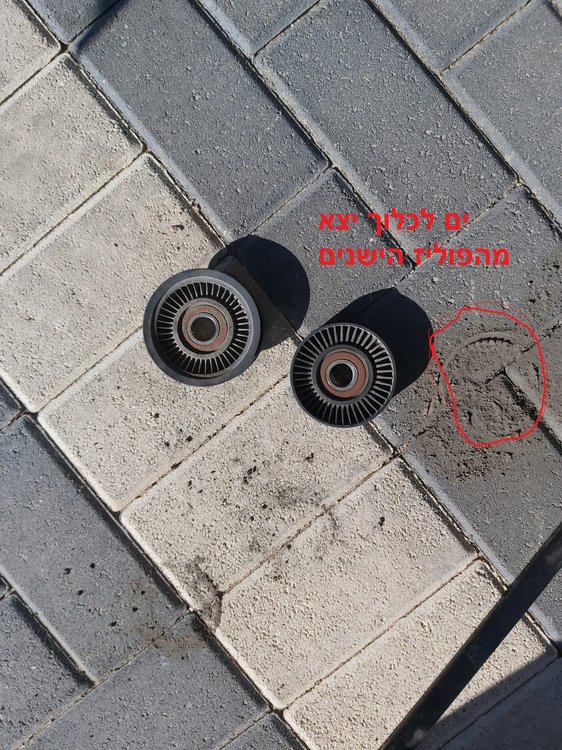 a25ade7c-ed2a-4a9a-843e-946c227ab701.jpg