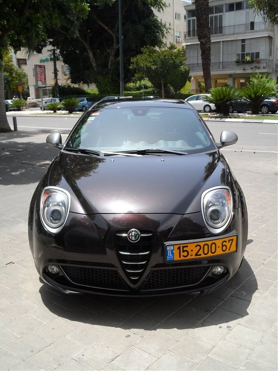 alfa4.jpg