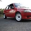pug106R