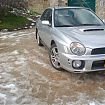 roy wrx