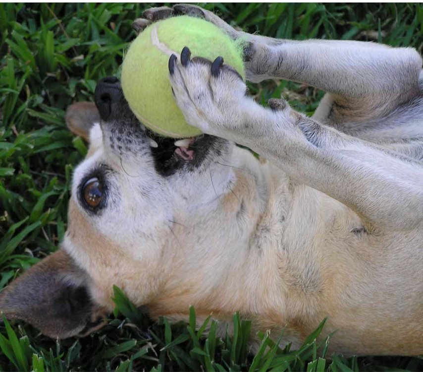 ball.jpg
