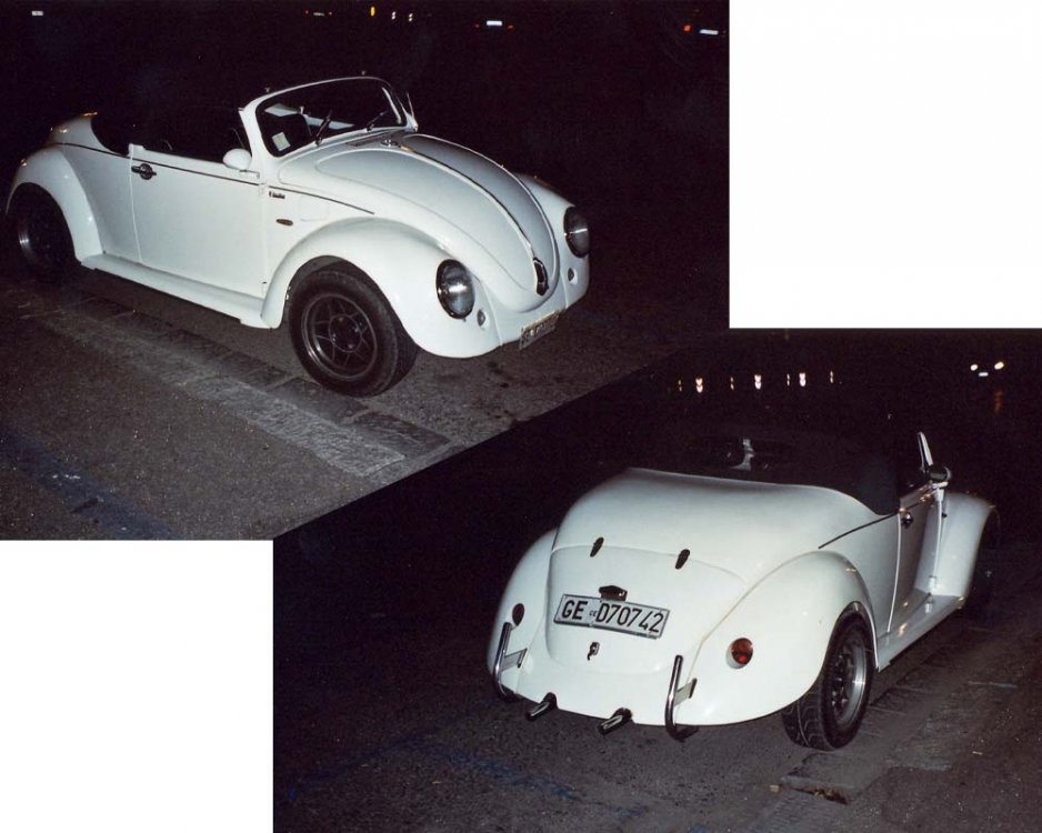beetle.jpg
