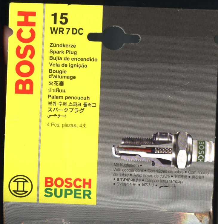 bosch.jpg