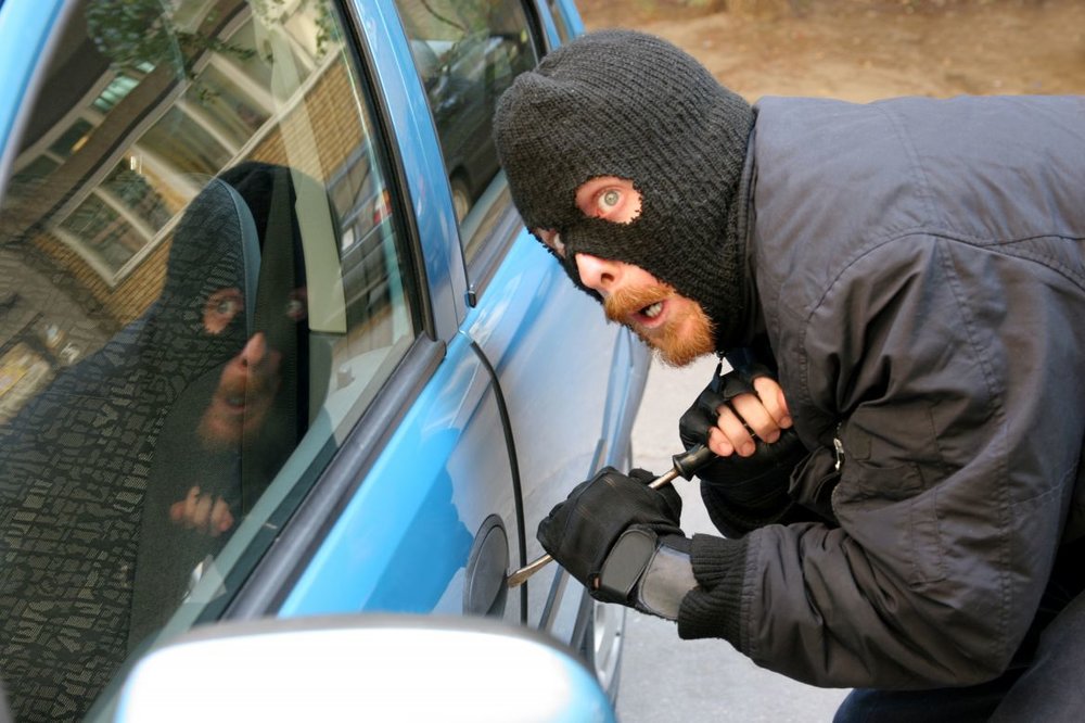 carthief.jpg