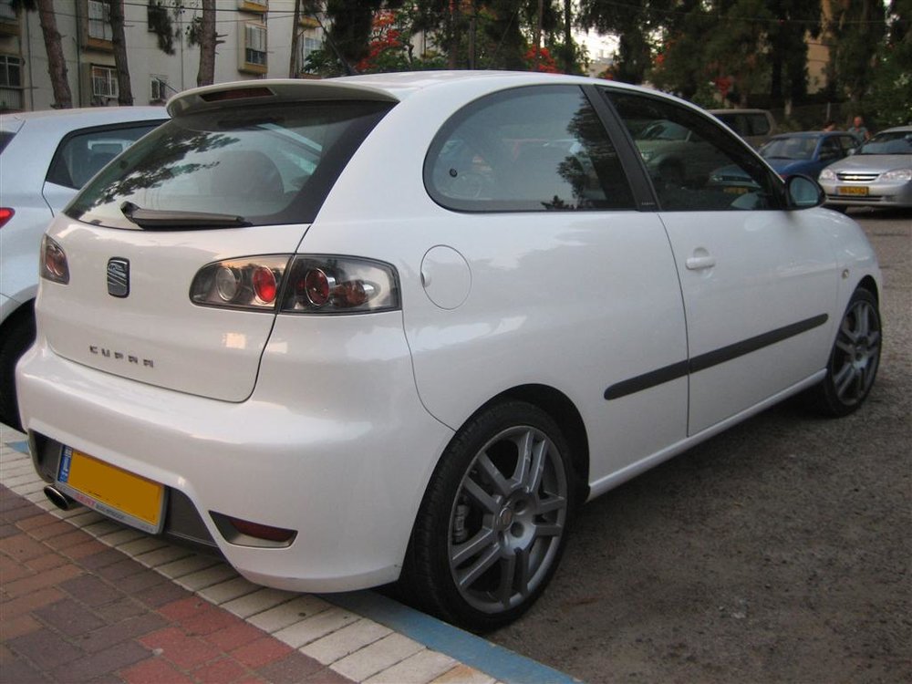 cupra_(Medium).jpg