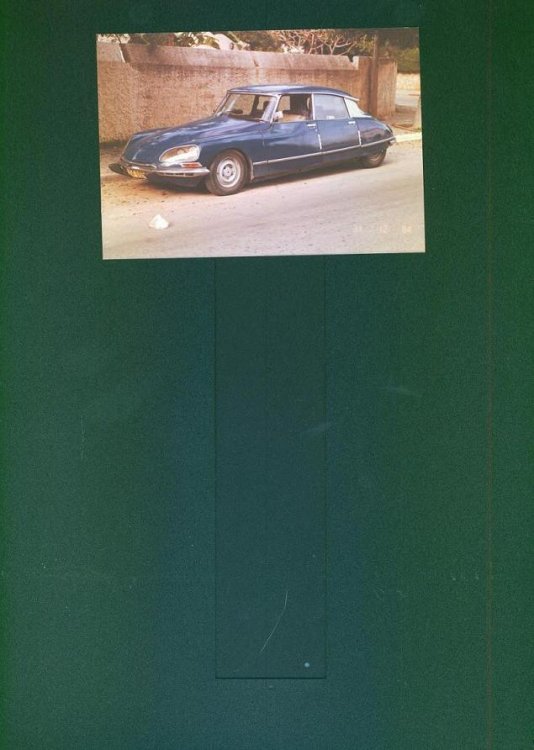 ds.jpg