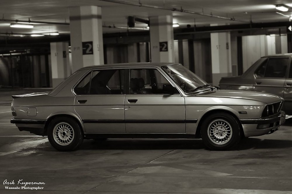 dsc3708x.jpg