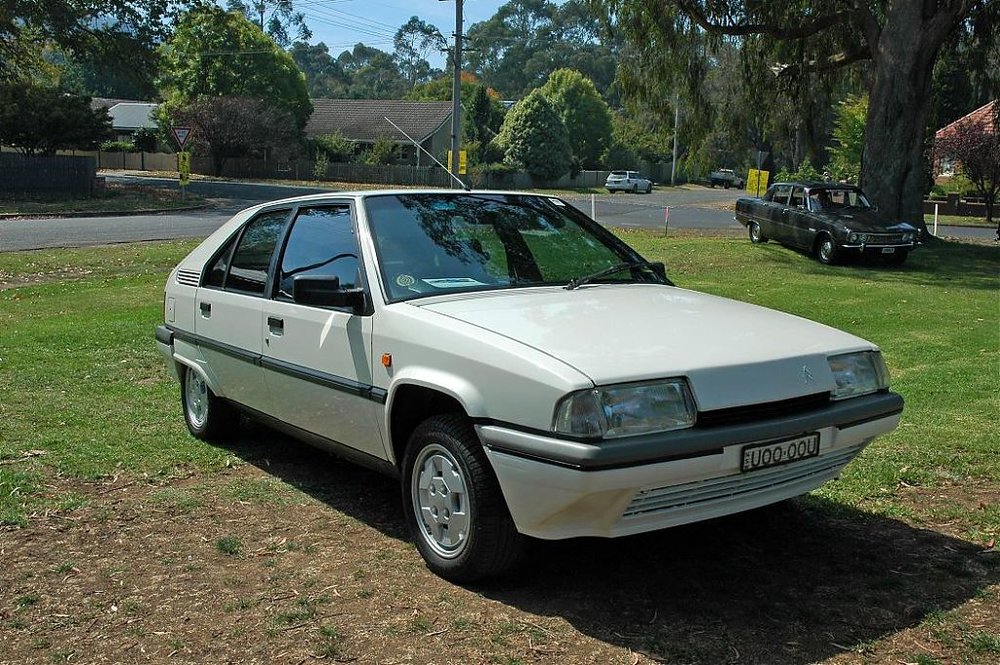 dsc_0163-1992-citroen-bx-tzi-bowral-29-3-2009.jpg