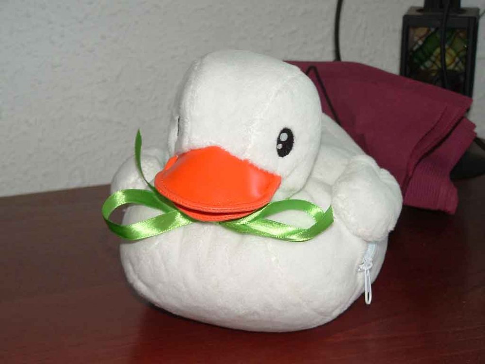 duck1.jpg