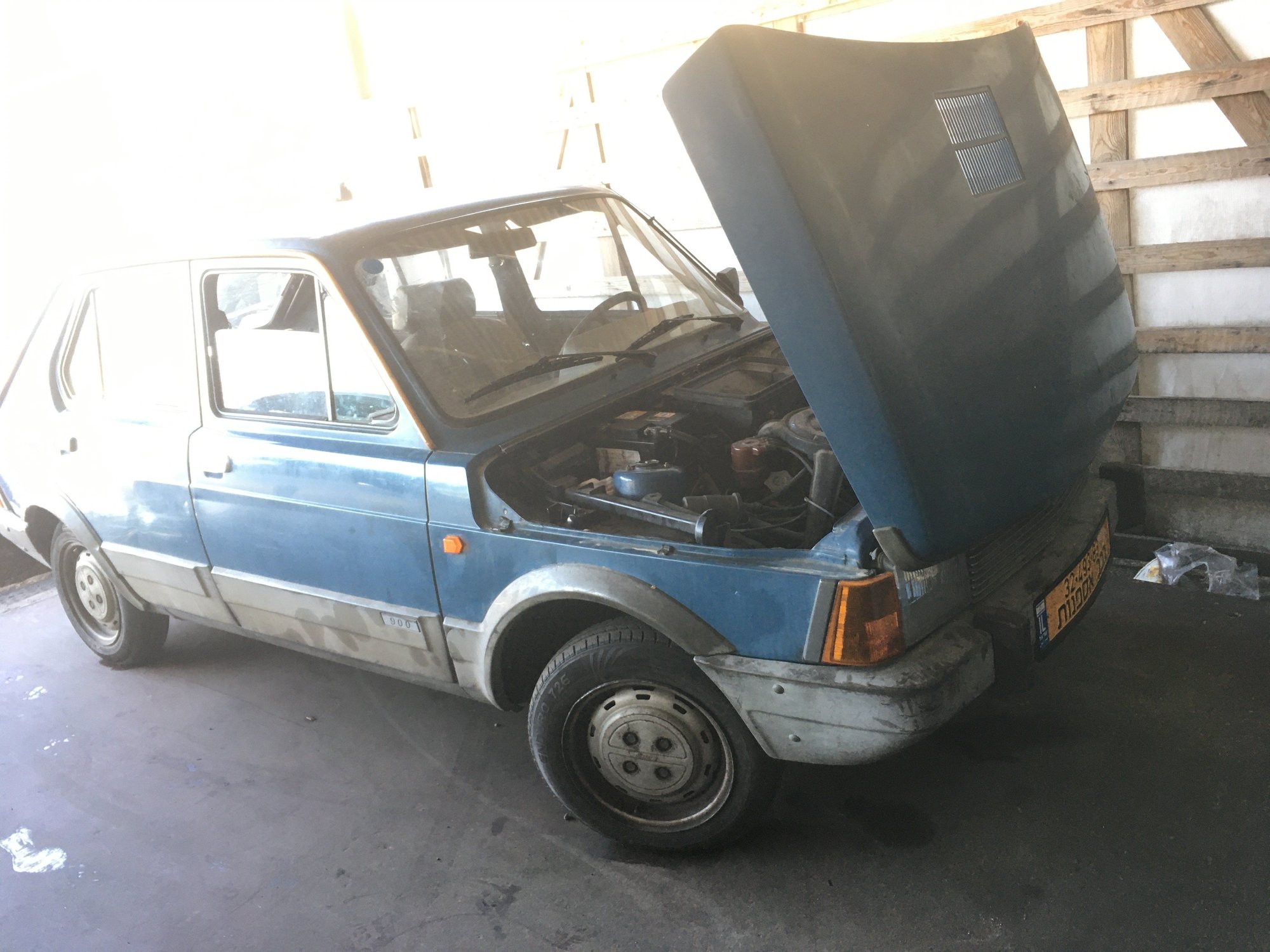 fiat3.jpg
