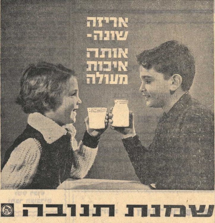 file_4_original.jpg