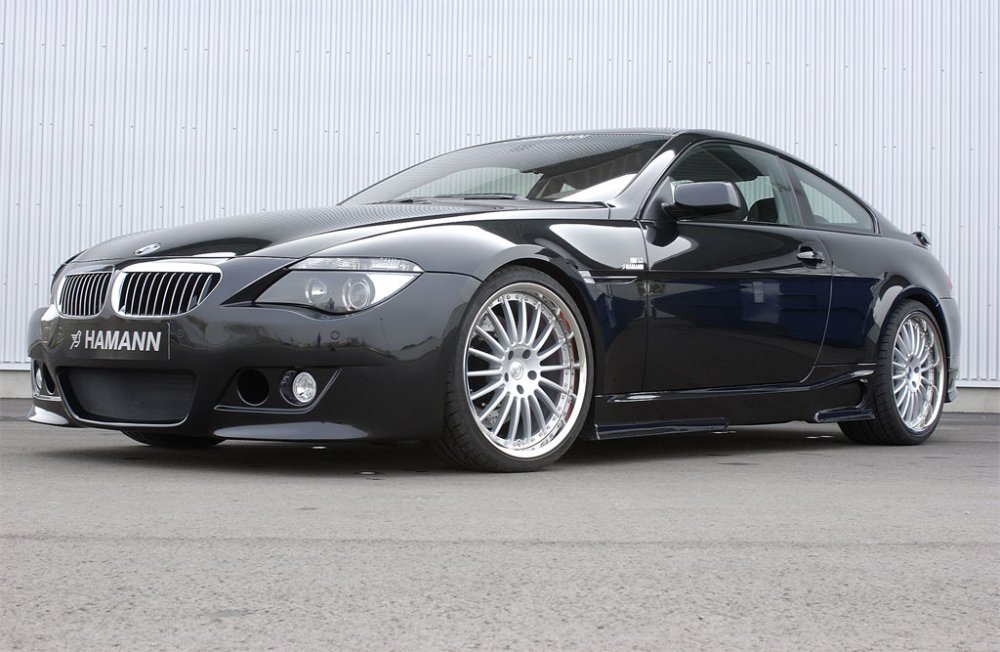 hamann645ci05_01.jpg