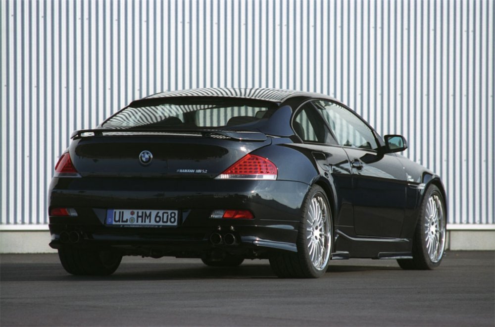 hamann645ci05_05.jpg