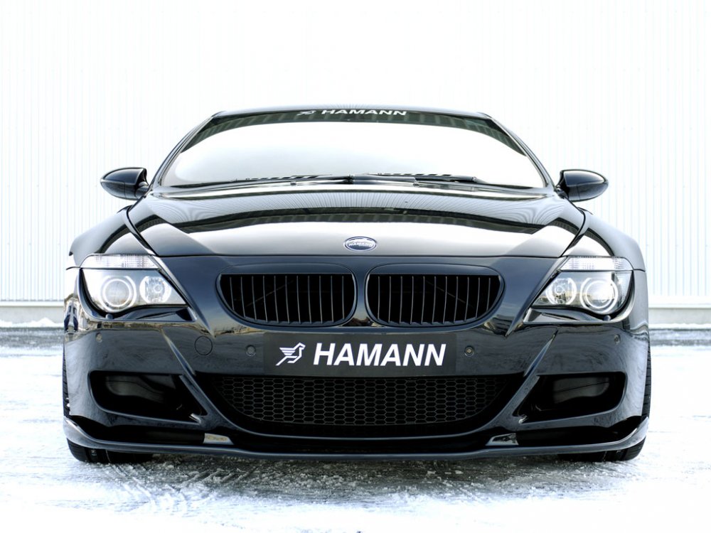 hamannm6_02.jpg