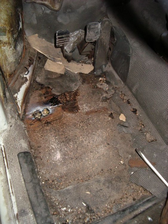 hipu2312-02.jpg