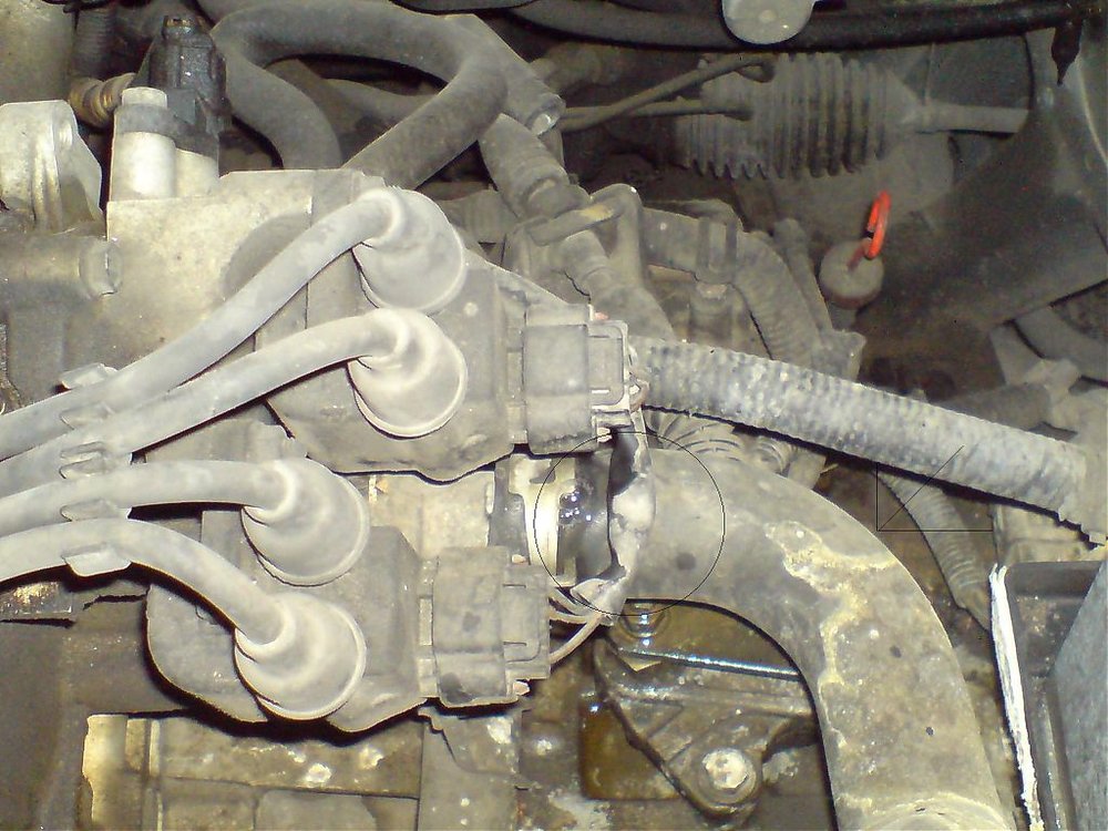 hose.jpg