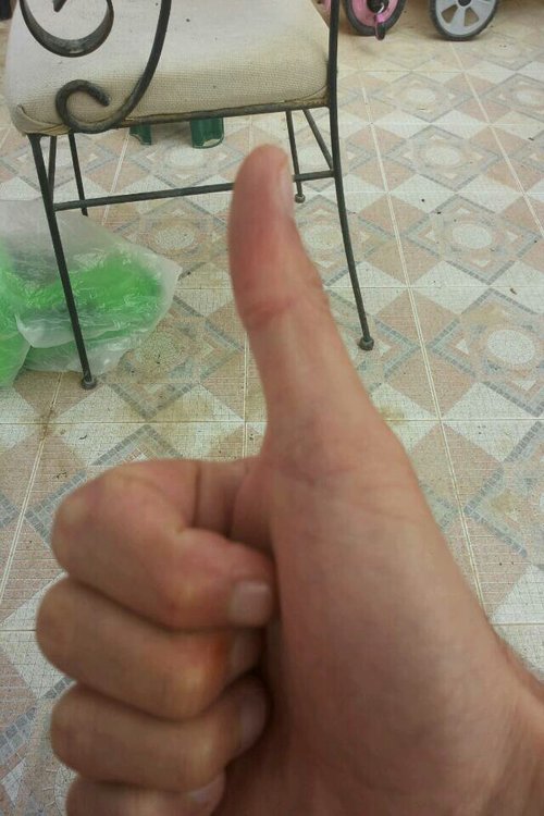 img20131109_085236.jpg