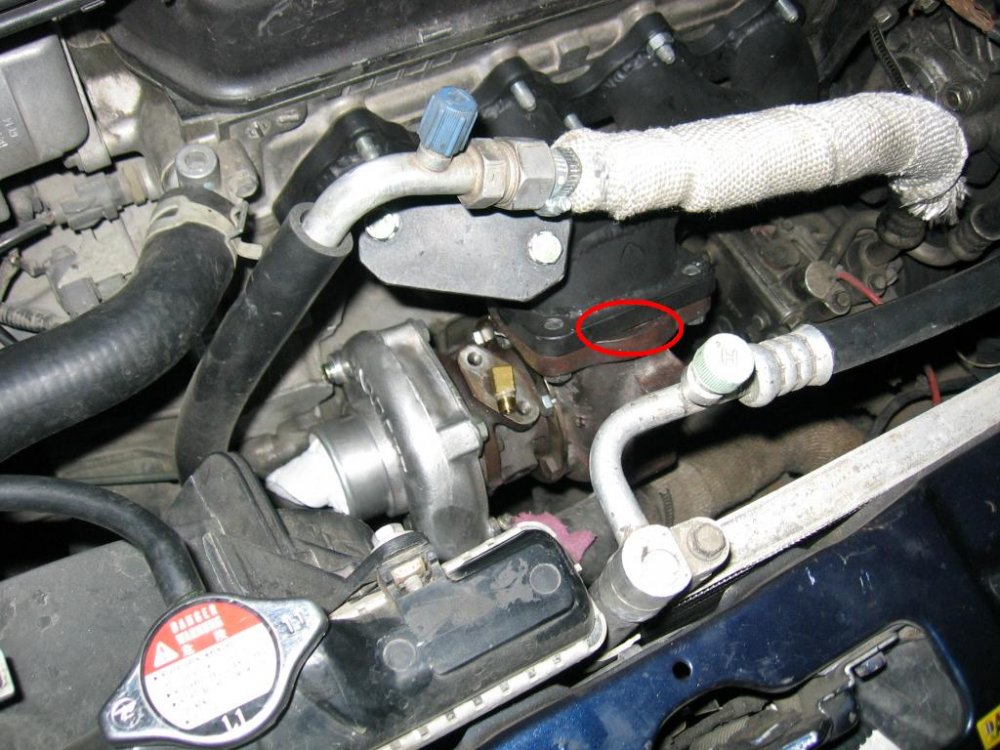 img23065nv.jpg