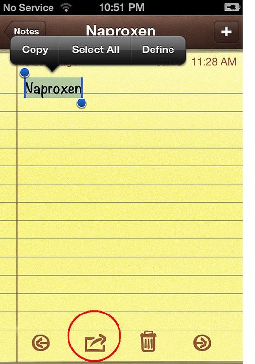 iphone_4s_dictionary_app.jpg