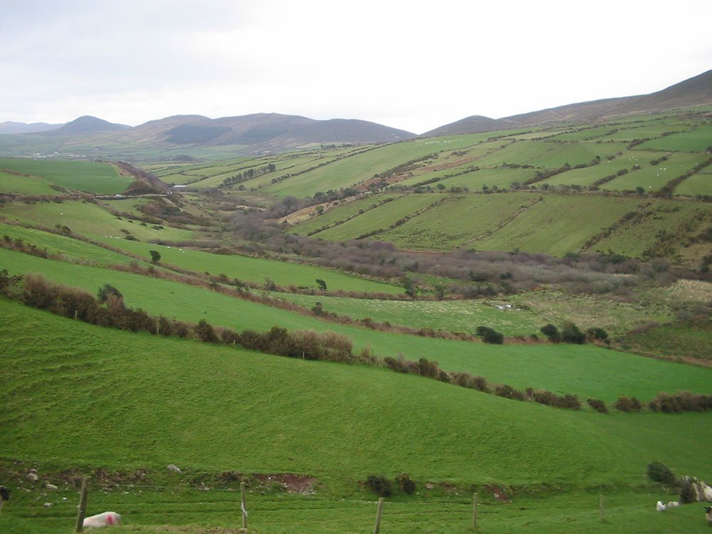 ireland.jpg