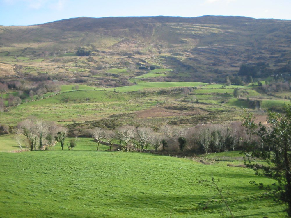 ireland2.jpg