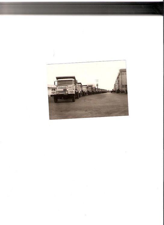 layland3.jpg
