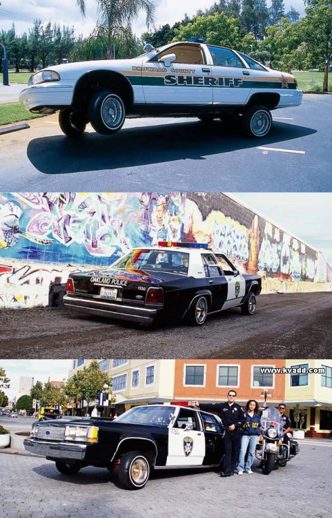 lowrider_copcar.jpg