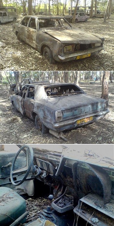 masarik1ae6.jpg