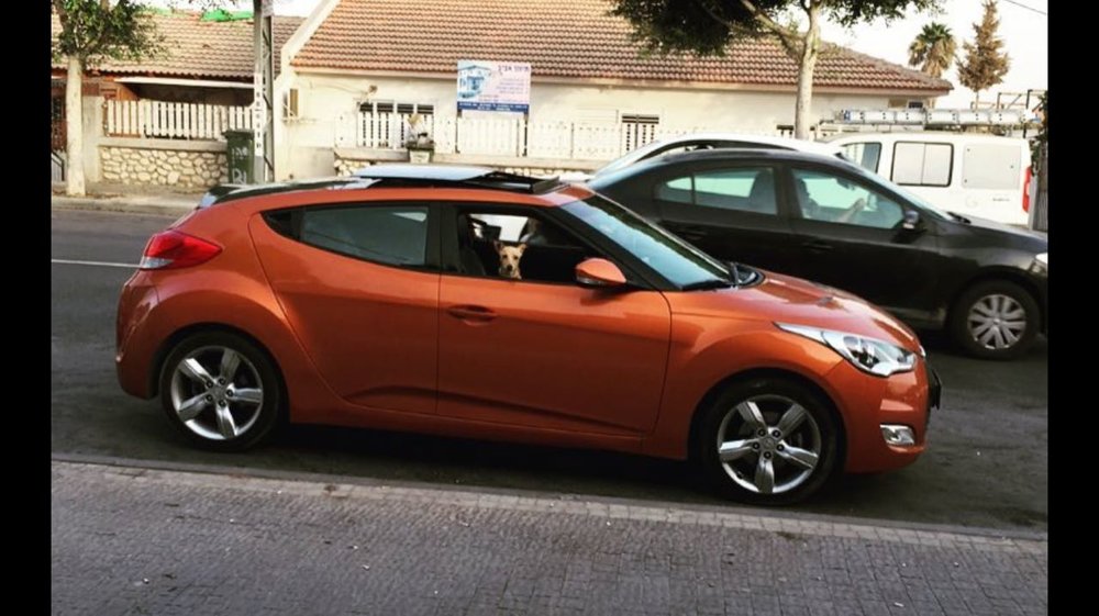 max-car-1.jpg