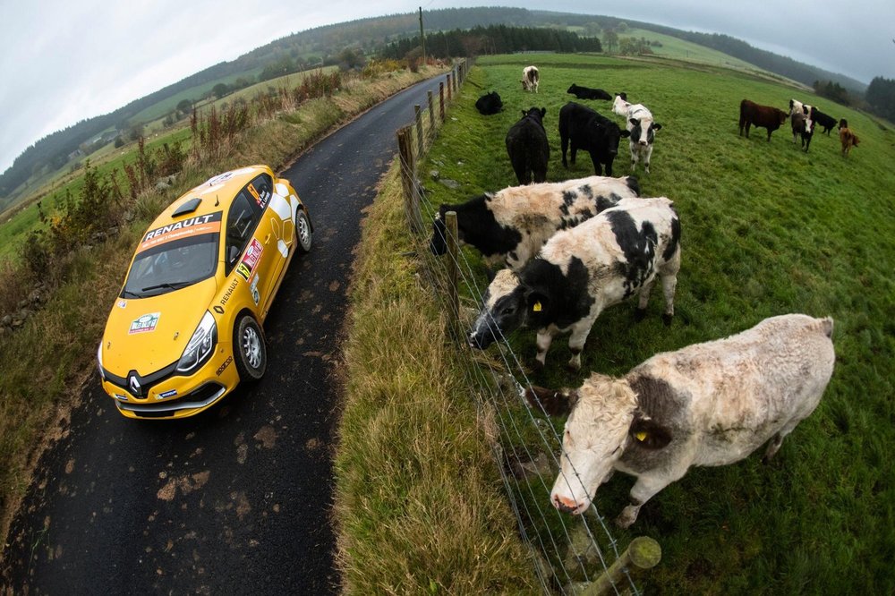 michael-burri-speeds-past-a-field-of-cows-during-a-stage-of-rally-wals-gb-2016.jpg