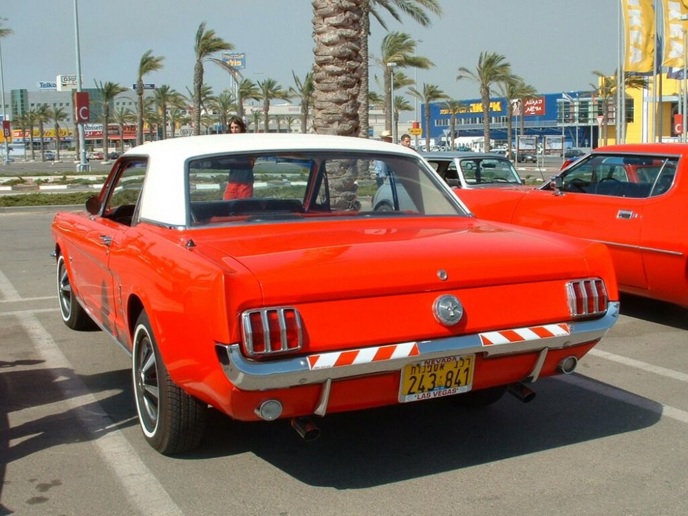 mustang_r.jpg