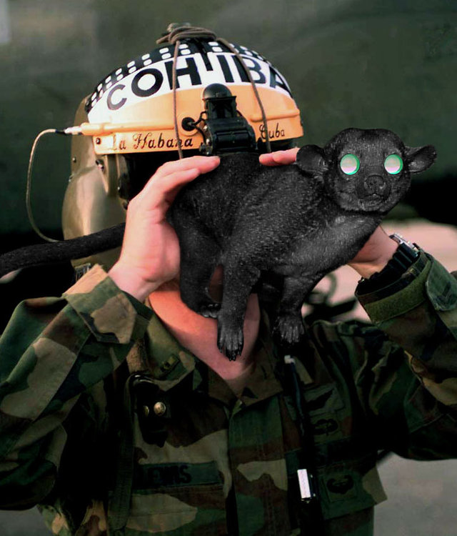 nightvision.jpg
