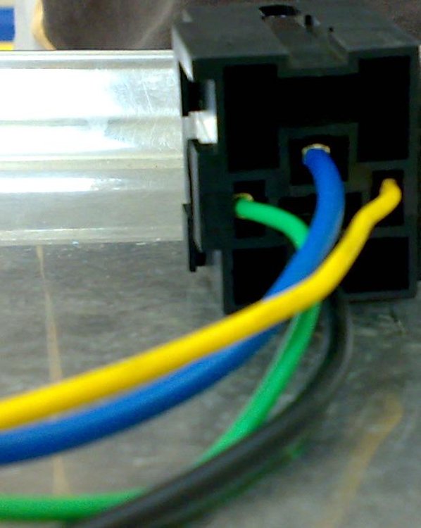 p2.JPG