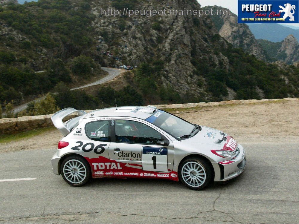 peugeot_206_wrc_10.jpg