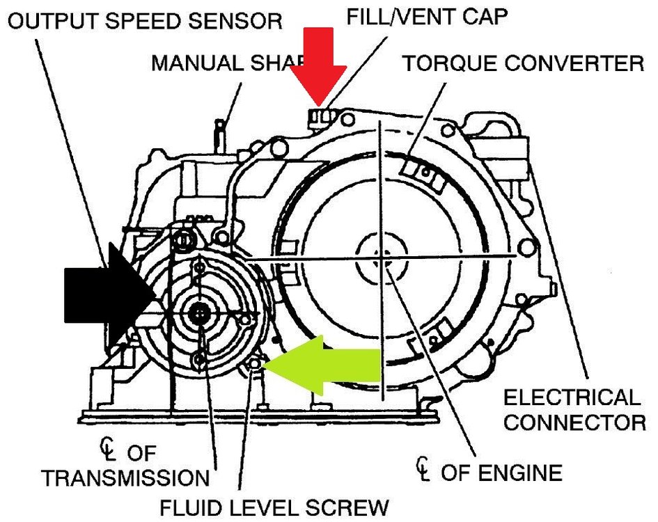 pic-1882589914088894146-1600x1200.jpeg