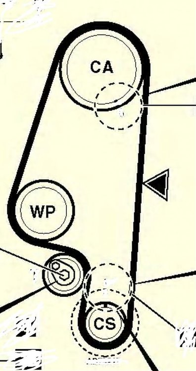 polo97.jpg