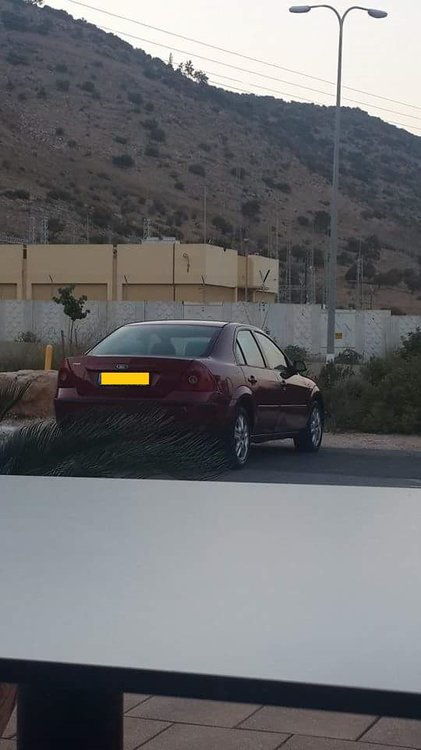 received_491579294341153.jpeg